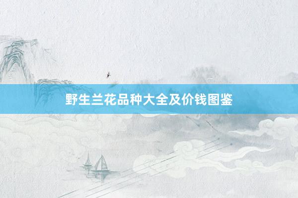 野生兰花品种大全及价钱图鉴